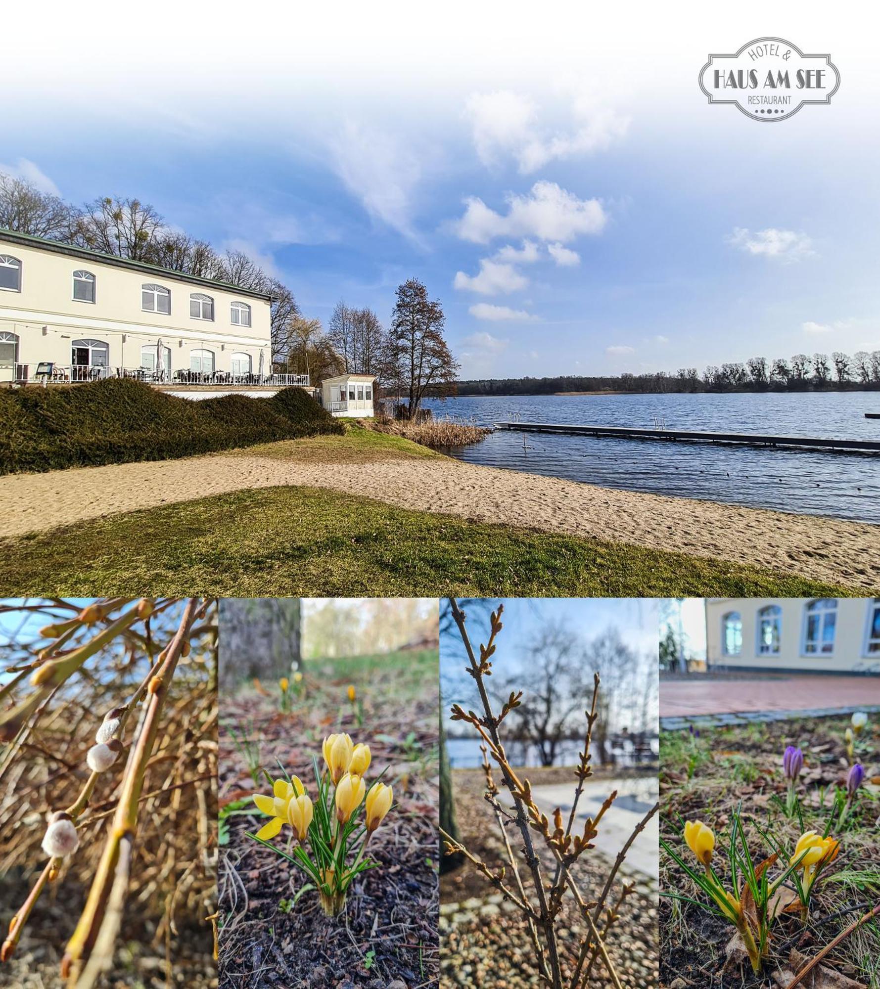 Hotel & Restaurant Haus Am See Locknitz Exterior photo